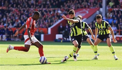 Bet Yanga App: Guide to Sports Betting